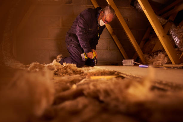 Types of Insulation We Offer in Alto, GA